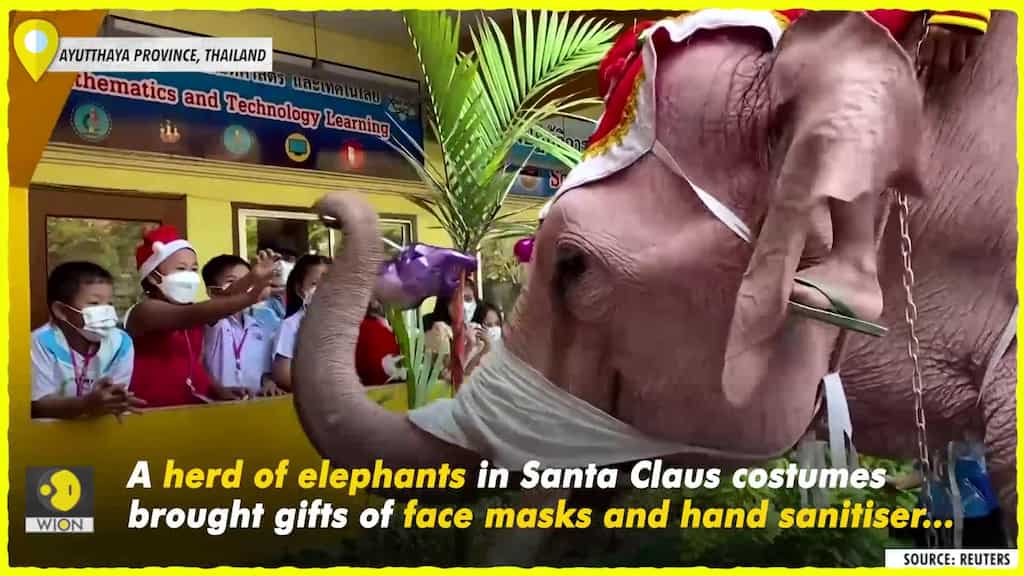 Santas on elephants brings Thai school kids face masks, hand sanitiser
