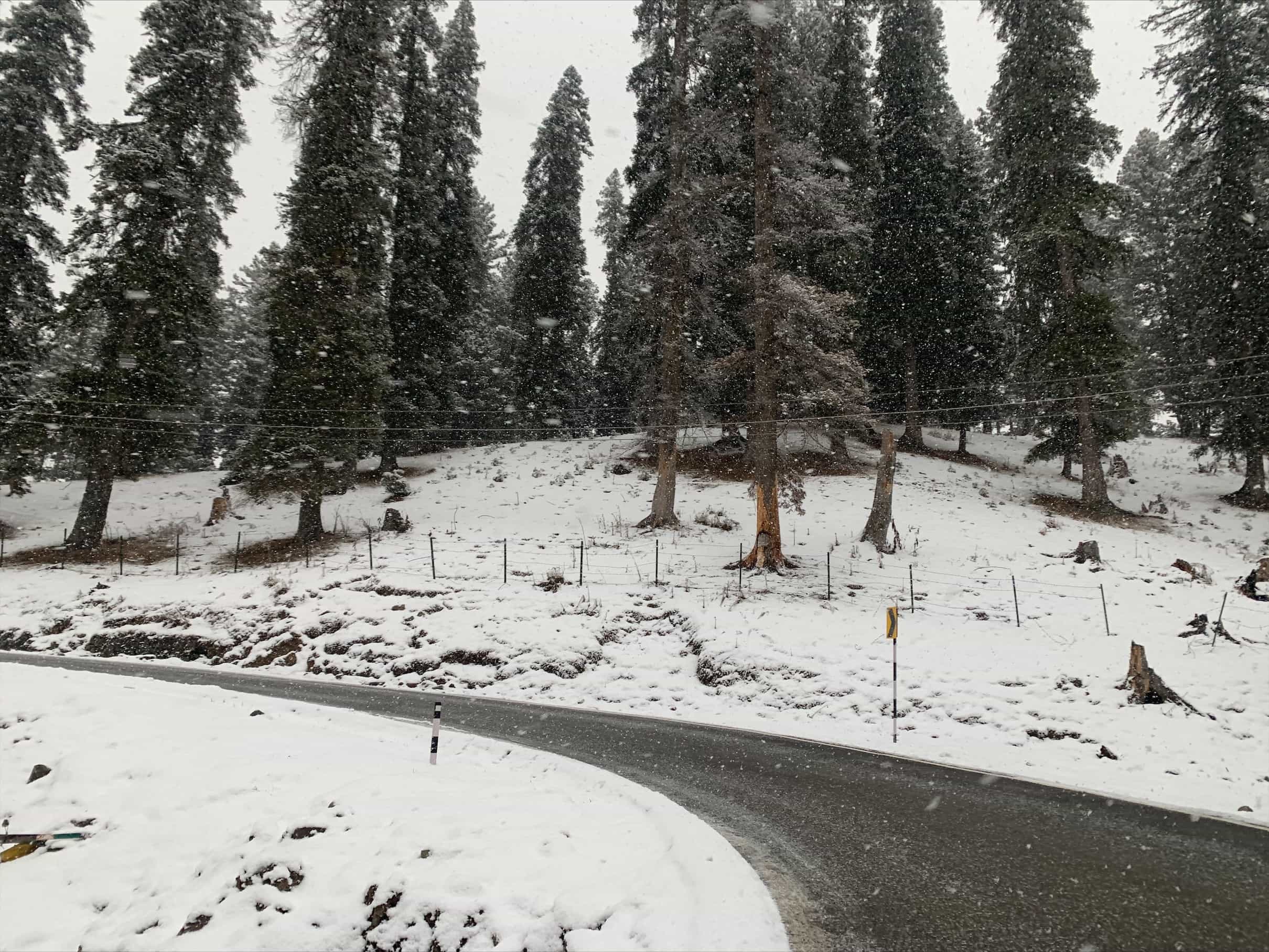 Kashmir gets record tourists in December Kashmir gets record tourists in December
