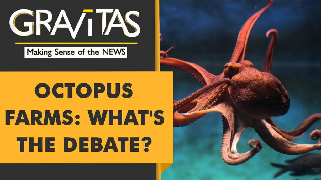 Gravitas: Activists decry world's first Octopus farm
