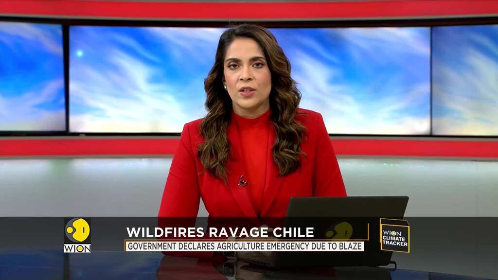 Wildfires ravage Chile, government declares agriculture emergency