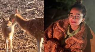Ananya Panday's Ranthambore jungle safari pics have wanderlust vibes