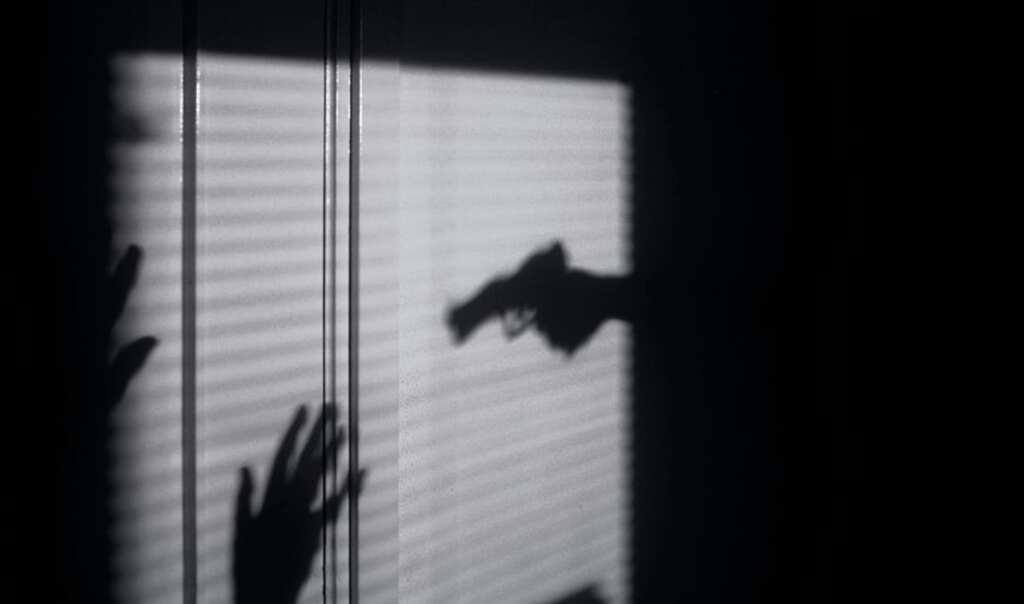 In a shocking incident in US, man shoots dead own daughter after mistaking her for intruder