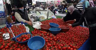 Turkish inflation hits new record high after currency crisis