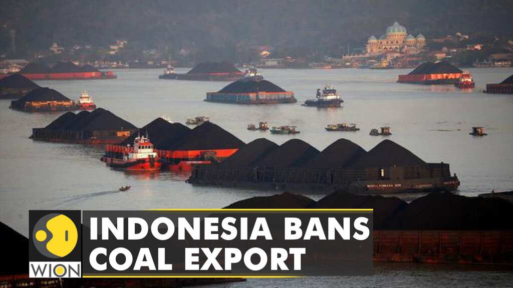 Indonesia banned coal export to meet its own power demands