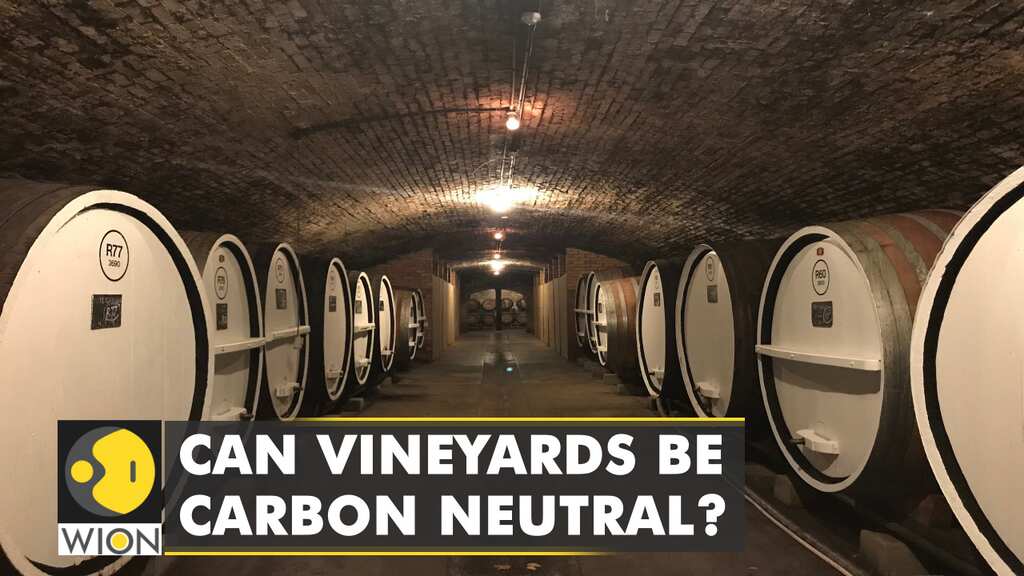 Australia: The Tahbilk winery in the state of Victoria, wants to become carbon neutral by 2025