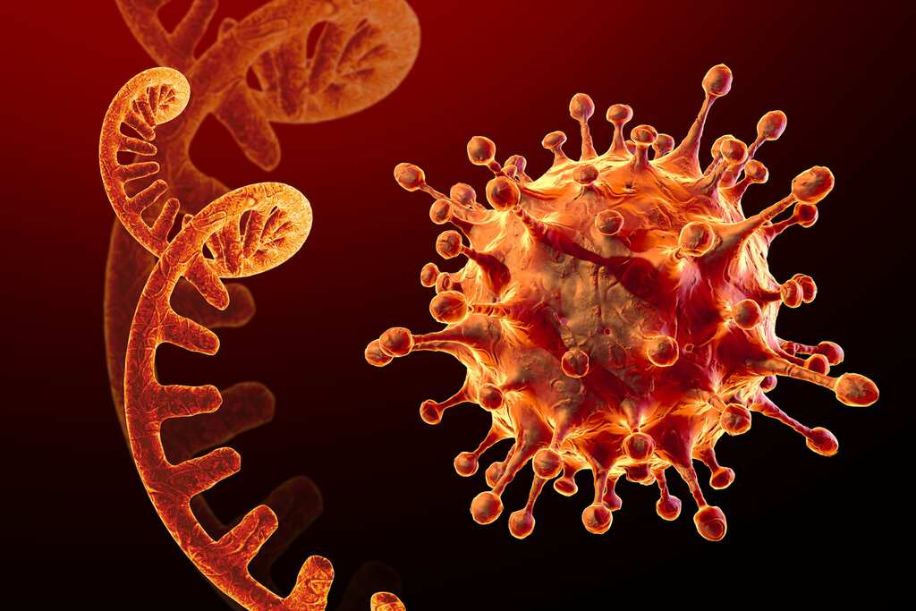 'Omicron is nothing more than a seasonal cold virus', claims US-based doctor