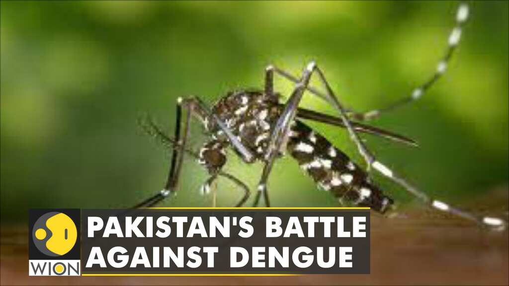Pakistan: Dengue outbreaks reported in Punjab, Khyber-Pankhtunkwa