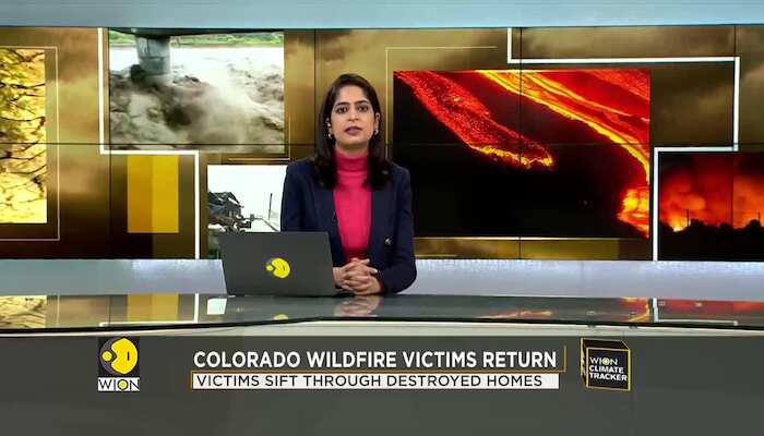 WionNews Video