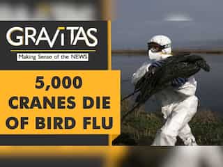 Gravitas: Bird Flu: The next big health crisis?