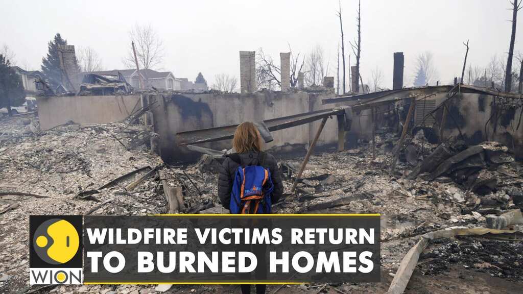United States: Nearly 1000 homes destroyed in a wildfire in Colorado