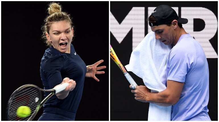 Simona Halep advances in Melbourne, qualifier Ricardas Berankis to face spaniard Rafael Nadal Simona Halep advances in Melbourne, qualifier Ricardas Berankis to face spaniard Rafael Nadal