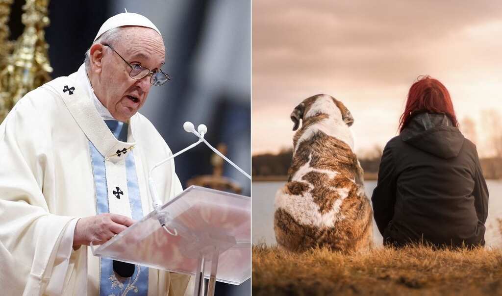 Pope Francis calls couples selfish who choose pets over kids, says it 'takes away humanity'