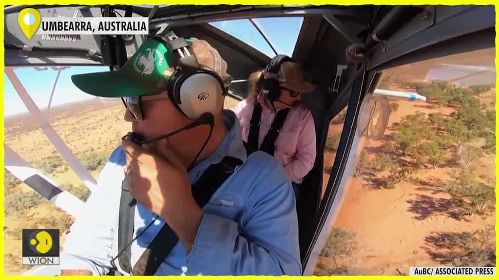 Life on one of Australia's largest Red Angus farms