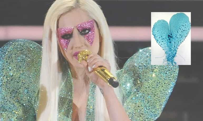 Lady Gaga (Gaga germanotta)
