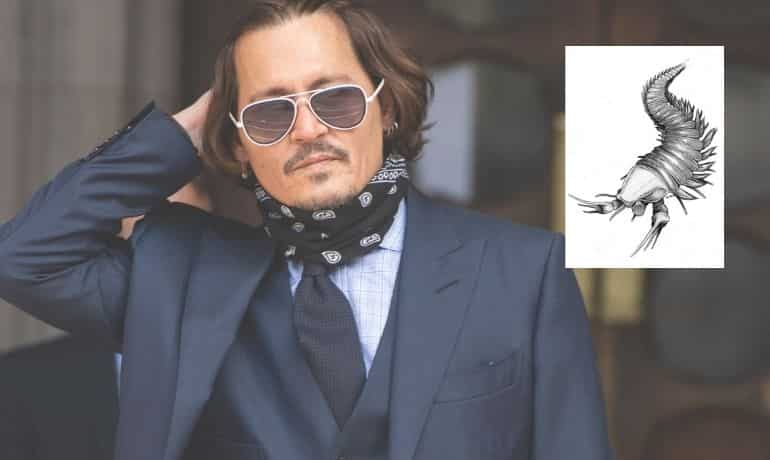 Johnny Depp (Edward Scissorhands)