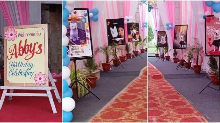 Three people arrested in Ahmedabad for violating curfew, organising birthday bash of pet dog