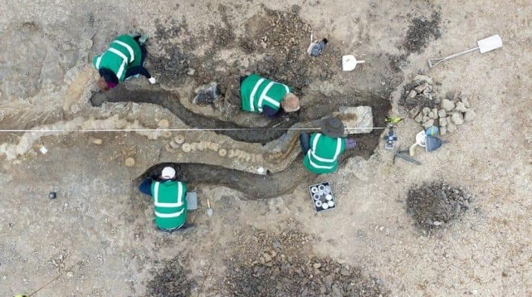 Paleontologists discover massive fossils of ‘sea dragon’ in United Kingdom Paleontologists discover massive fossils of ‘sea dragon’ in United Kingdom