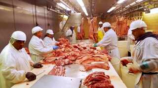 In a thumbs-up to agricultural trade, India to allow imports of US pork, say officials
