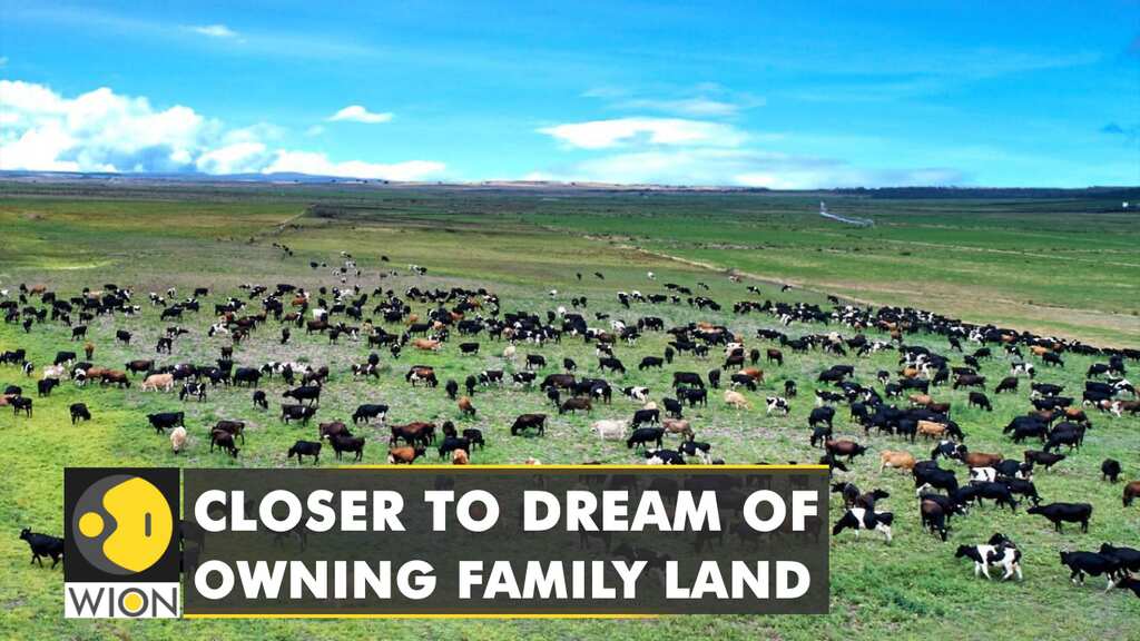 Australia: Tasmanian locals get fresh opportunity to buy back land