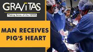 Gravitas: Pig's heart transplanted into a human
