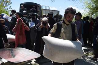 Cash-starved Taliban paying salaries in wheat to govt employees as economic crisis deepens