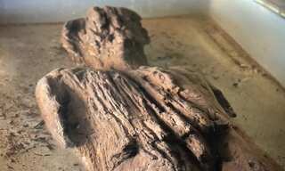 'Amazing discovery': Archaeologists discover 'rare' Roman figure during a dig