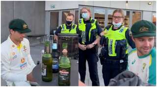 WATCH: Police intervene as Australia get 'too loud' during celebrations after thumping Ashes win