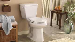 Watch: Loud toilet flush is violation of human rights, rules Italy's high court