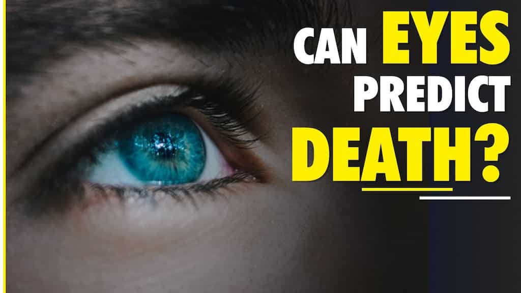 Can your eyes predict risk of early death? Study reveals