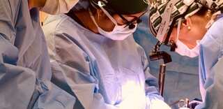 In a first, two kidneys from genetically modified pig transplanted into brain dead man