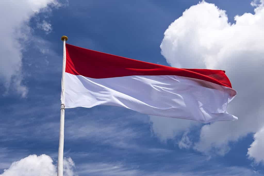 Indonesia names new capital Nusantara, replacing Jakarta