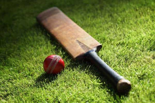 J&K: Demand for Kashmir's willow bats increases