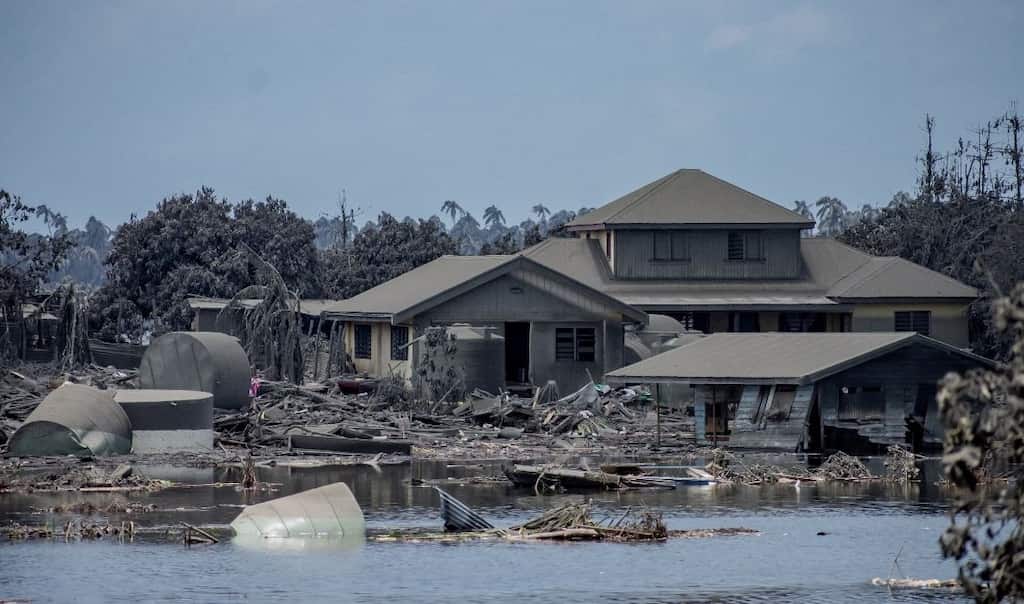 India extends assistance to tsunami-hit Tonga towards relief and reconstruction efforts