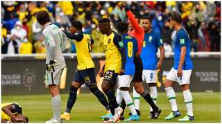 World Cup qualifier: Brazil held by Ecuador in action-packed encounter