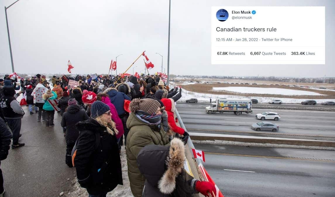 Elon Musk's praise