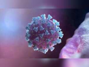 Explainer: What is new coronavirus NeoCov that kills 1 in 3 patients? Find out the truth