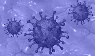 COVID-19: Indian experts weigh in on 'NeoCoV' fears after Wuhan scientists issue warning