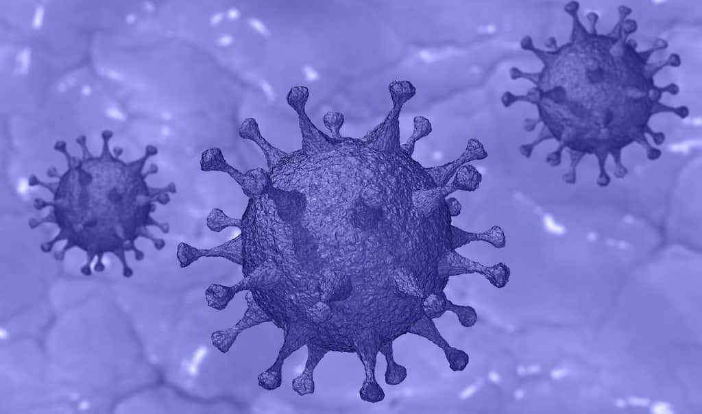 COVID-19: Indian experts weigh in on 'NeoCoV' fears after Wuhan scientists issue warning