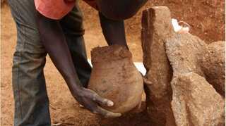 Leafy greens first dished up 3,500 years ago: Study