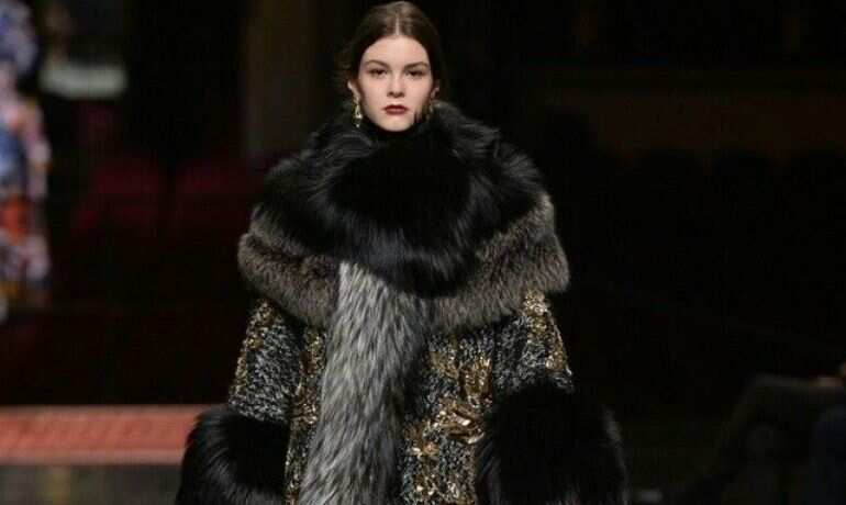 Italian luxury brand Dolce & Gabbana to stop using animal fur