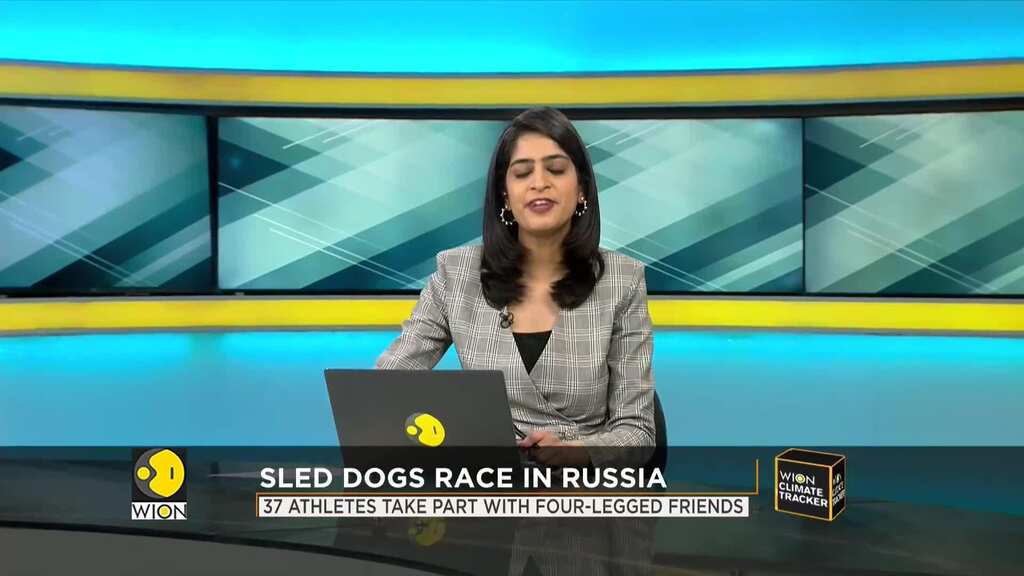 Dogs, owners race through the snow in Russia