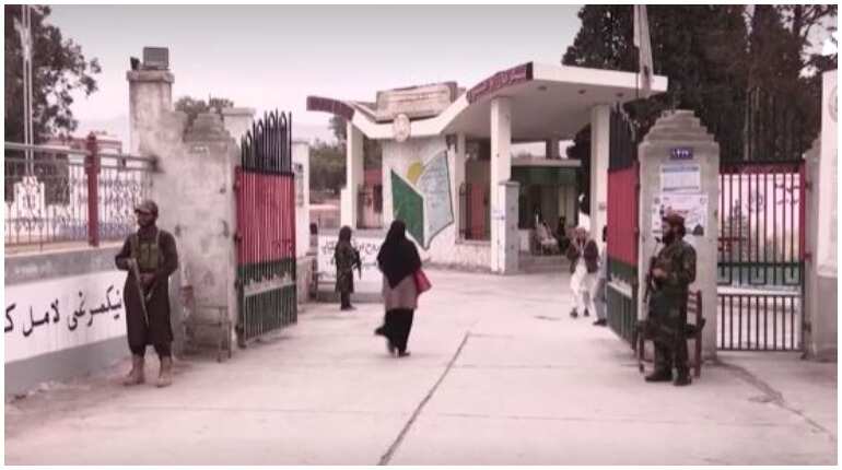Female students seen going to classes as Afghan universities reopen Female students seen going to classes as Afghan universities reopen