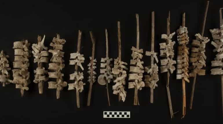 Nearly 200 human spines found on sticks in 500-year-old graves in Peru Nearly 200 human spines found on sticks in 500-year-old graves in Peru