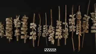 Nearly 200 human spines found on sticks in 500-year-old graves in Peru