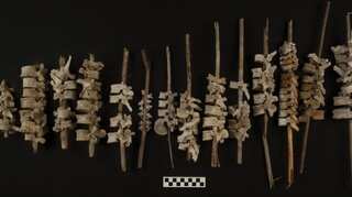 Nearly 200 human spines found on sticks in 500-year-old graves in Peru