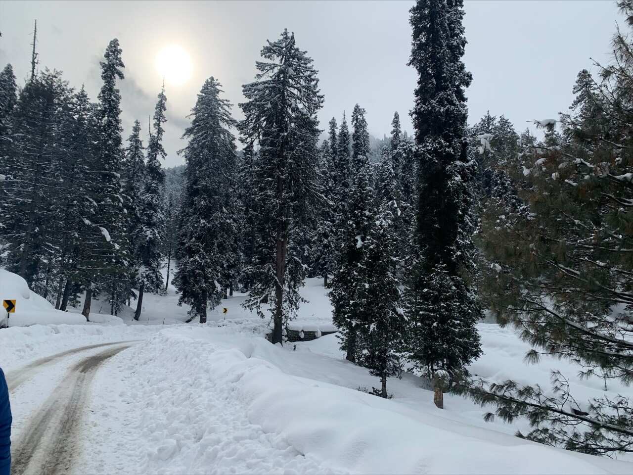 Fresh spell of snowfall greets tourists in Kashmir Valley