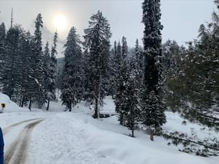 Fresh spell of snowfall greets tourists in Kashmir Valley