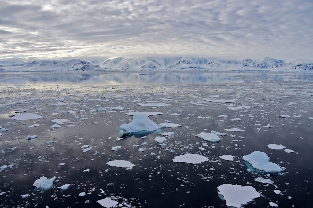 Large chunks of ice that broke off from Thwaites glacier blocks an expedition of scientists