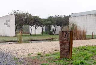 Texas butterfly sanctuary shuts down after threats from Trump supporters