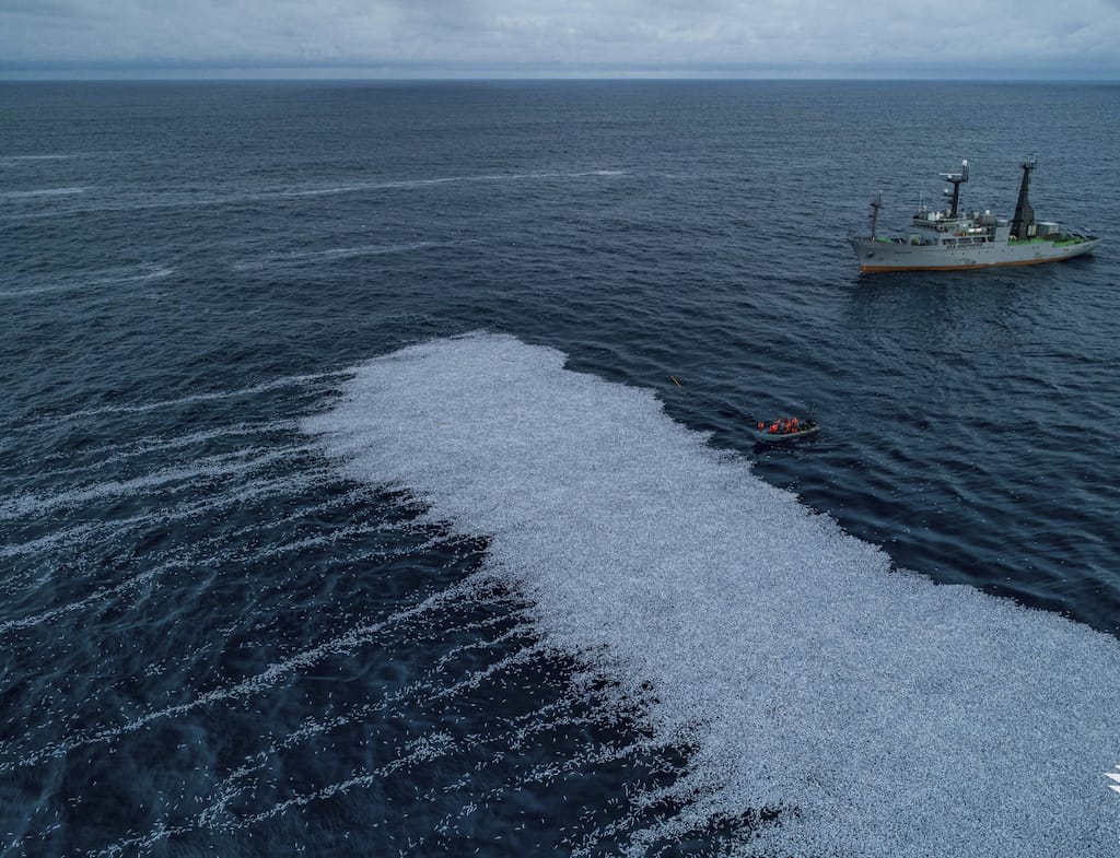 Dutch trawler dumps over 100,000 dead fish into Atlantic Ocean off French coast, triggering fury